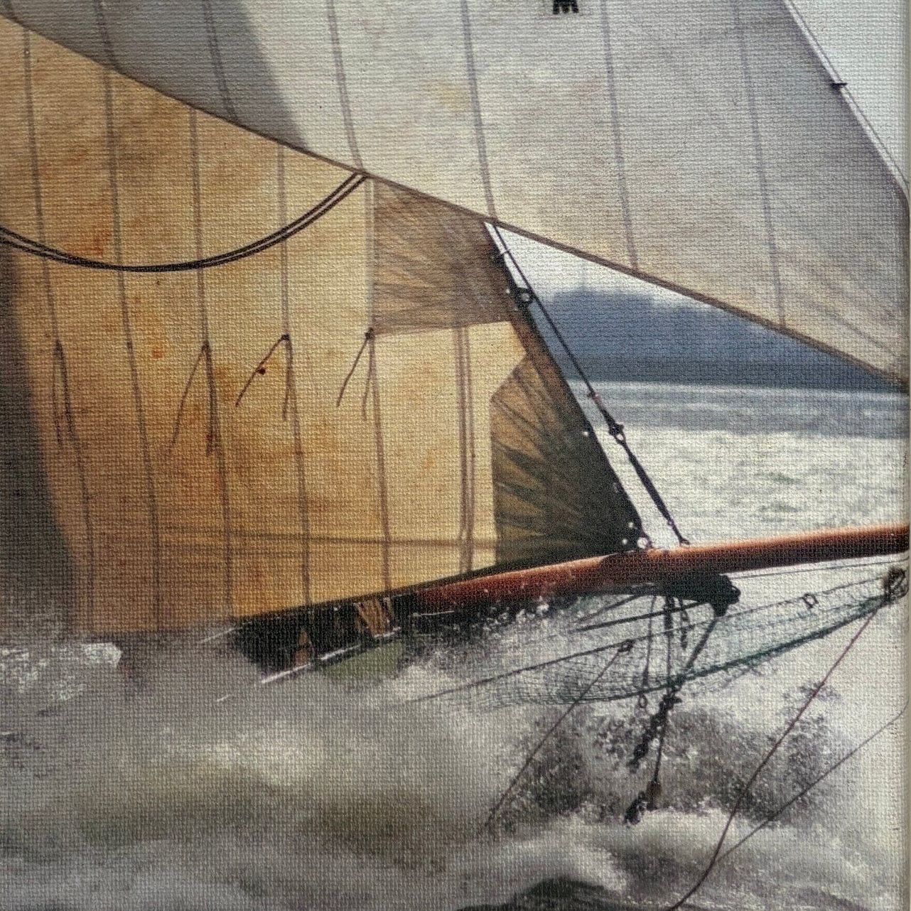 Sail 2025, Amsterdam, Boot, Schiffe, Herzblut, Segeln, Stadtführungen, 750 jahrfeier Amsterdam. Deutsch.