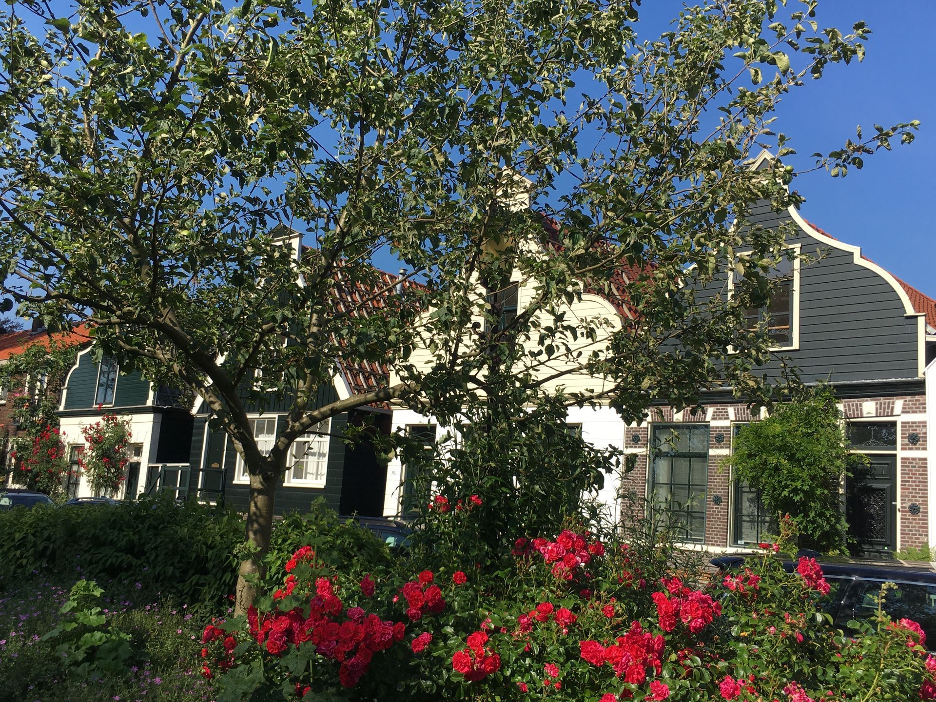 Herzblut Amsterdam Stadtführungen, auf deutsch, kleine Gruppen. Privatführungen. Fahrradtouren.NDSM. Flohmarkt