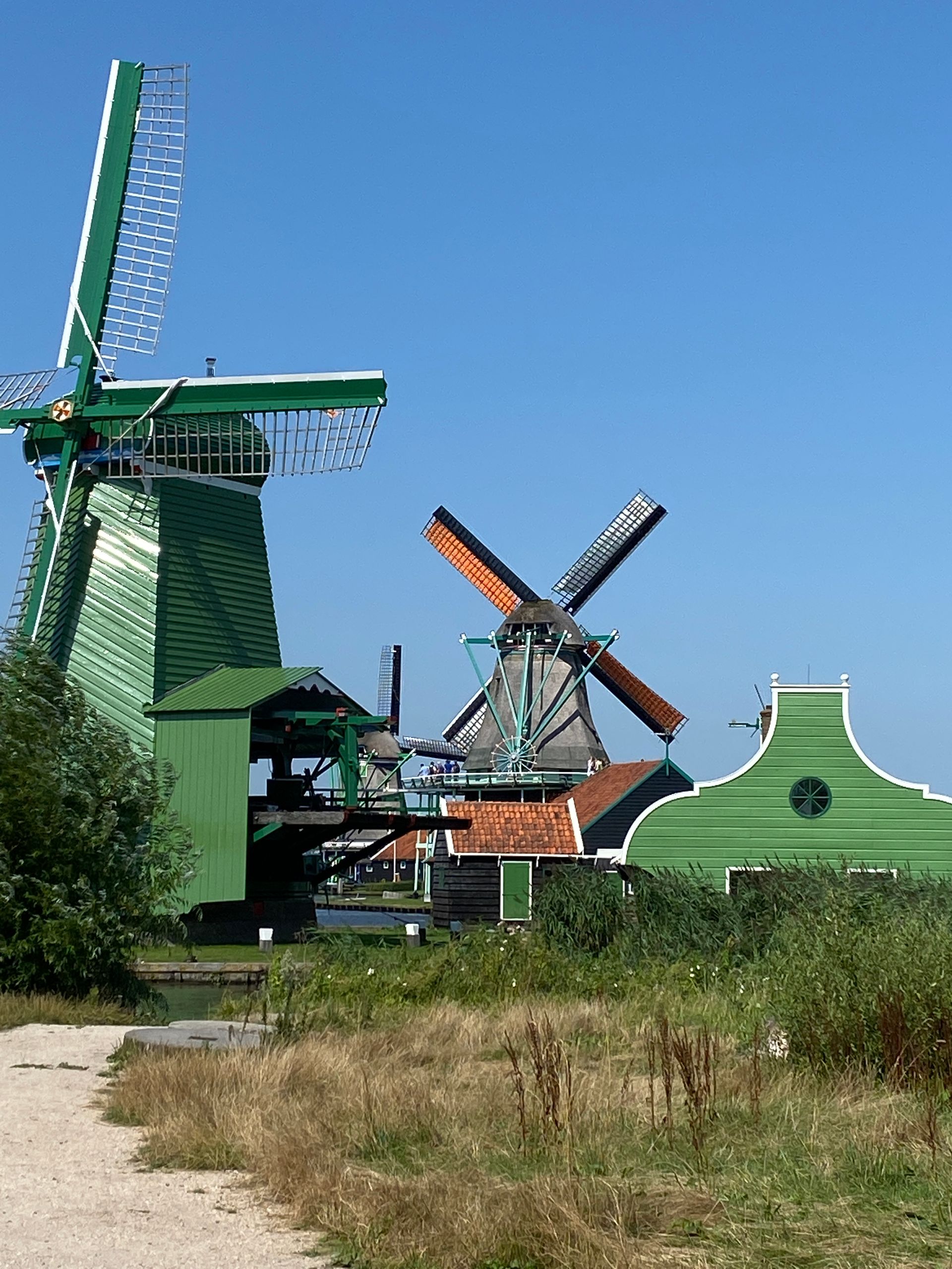 Herzblut Amsterdam Stadtführungen, auf deutsch, kleine Gruppen. Privatführungen. Fahrradtouren. Windmühlen