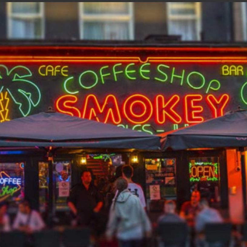 Herzblut Stadtfuehrungen Amsterdam, Coffeeshop, Bulldog, Rotlicht