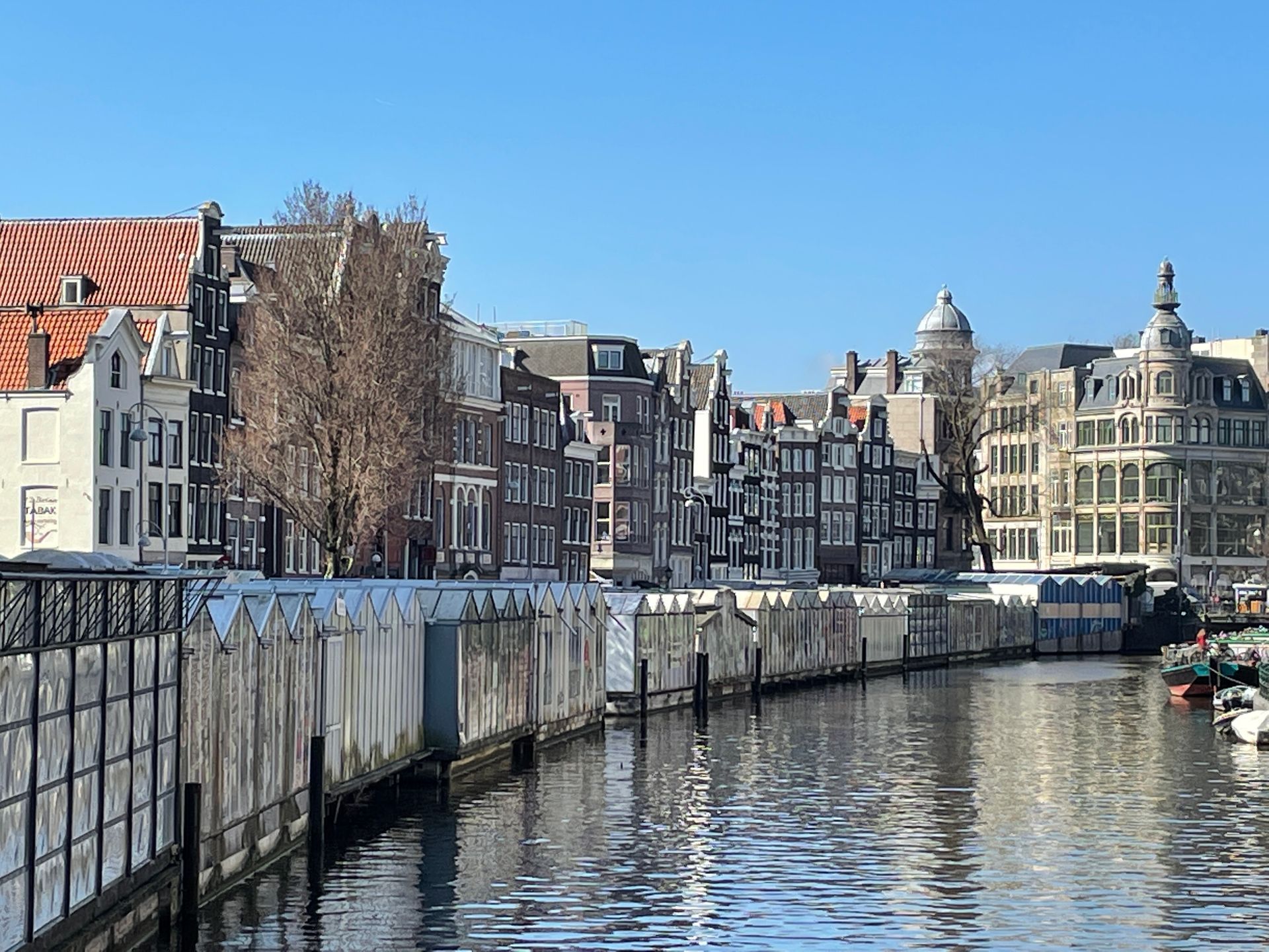 Herzblut Amsterdam Stadtführungen, auf deutsch, kleine Gruppen. Privatführungen. Blumenmarkt.