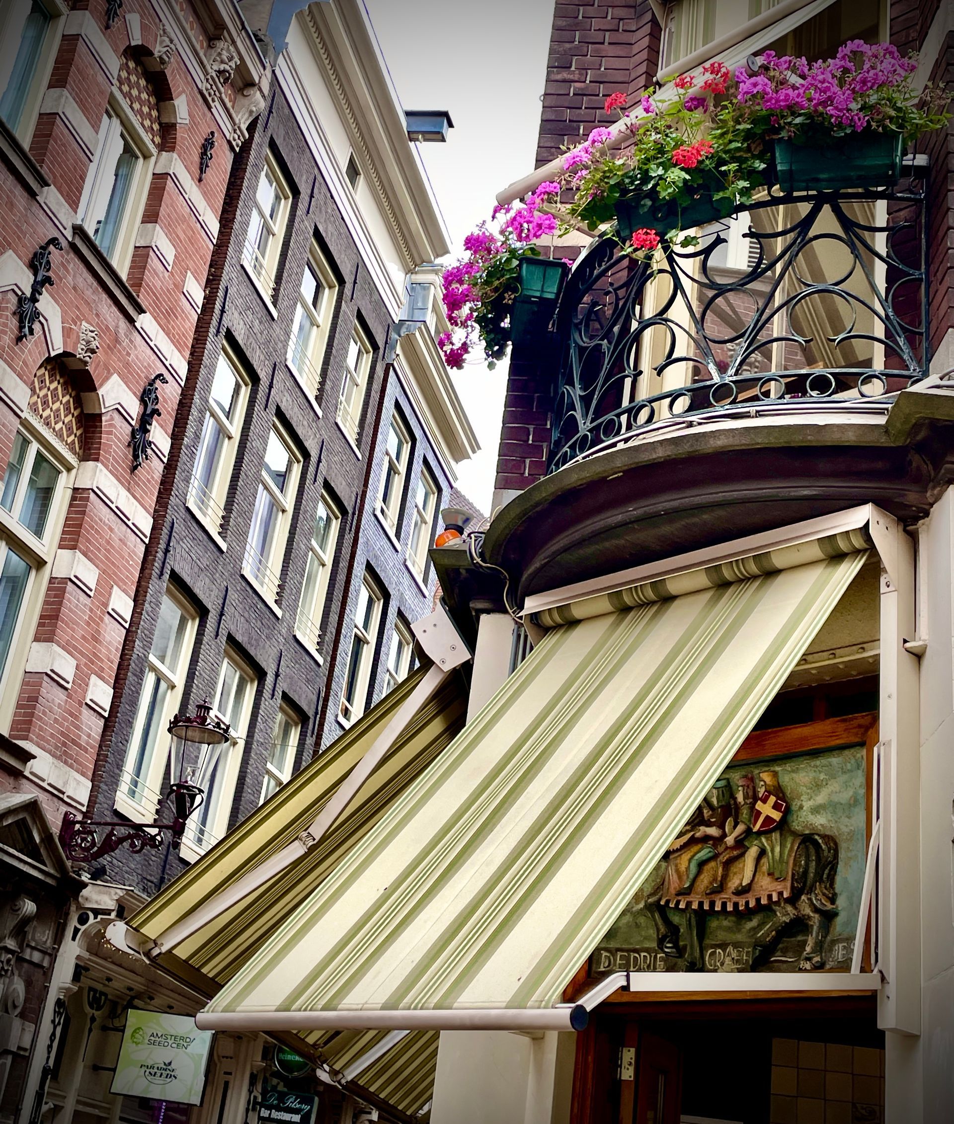 Herzblut Amsterdam Stadtführungen, auf deutsch, kleine Gruppen. Privatführungen. Fahrradtouren. Drij Graefjes