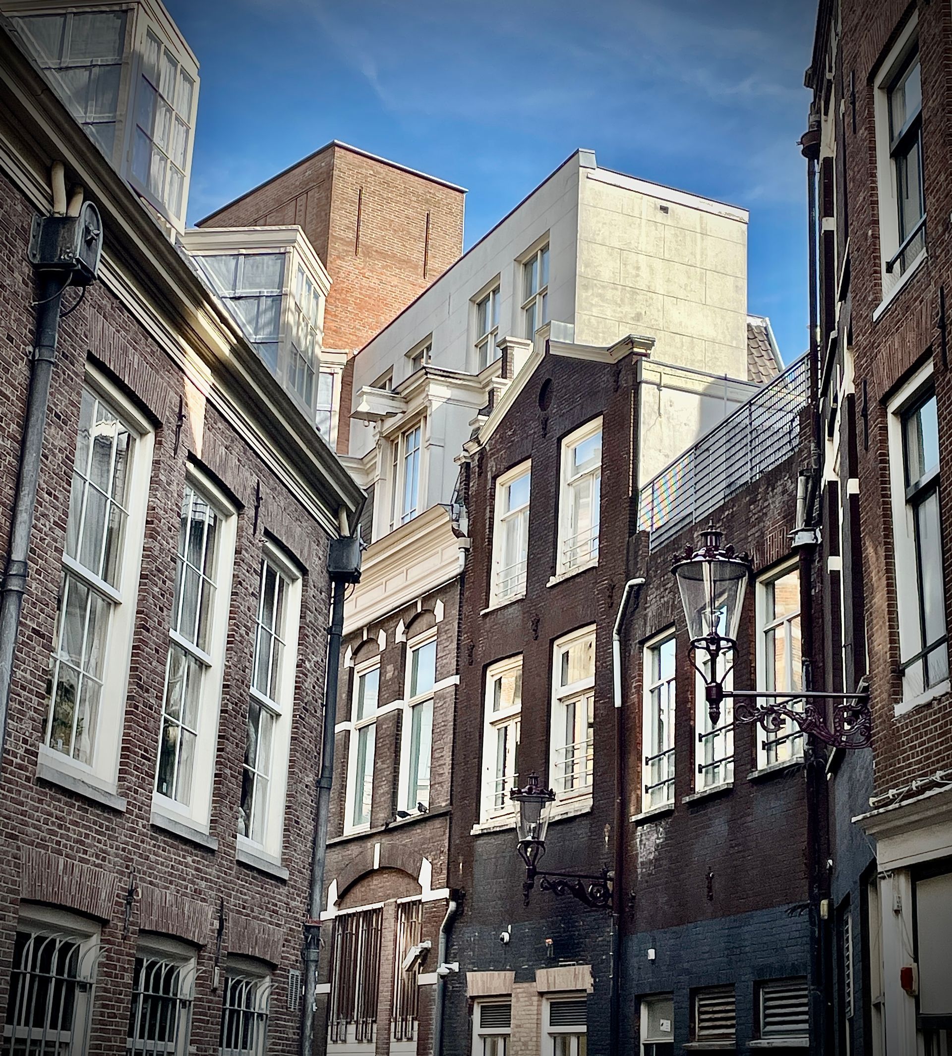 Herzblut.Amsterdam Stadtführungen. Deutsch. Kleine Gruppen.