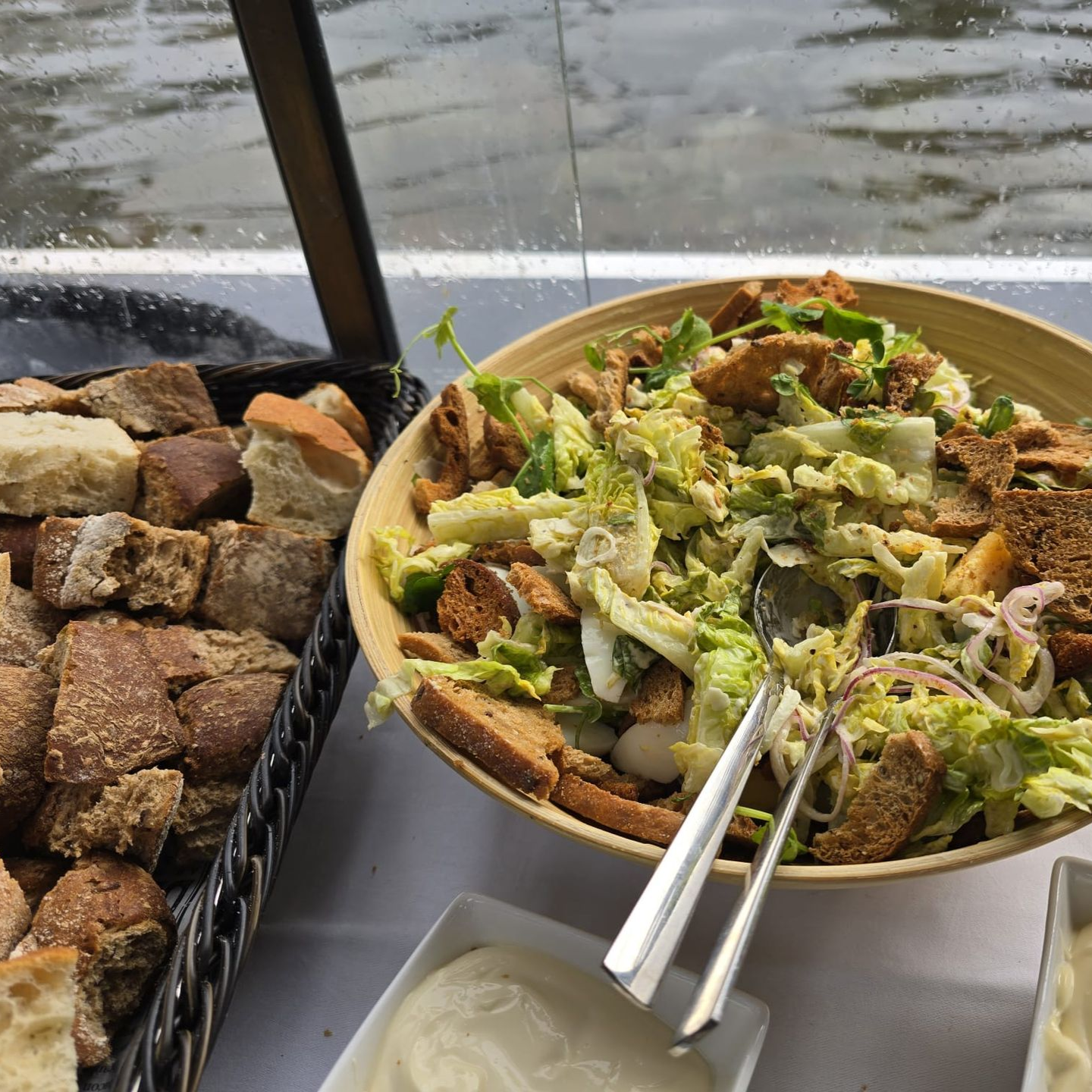 Herzblut Amsterdam Stadtführungen, auf deutsch, kleine Gruppen. Privatführungen. Van Gogh. Rembrandt.