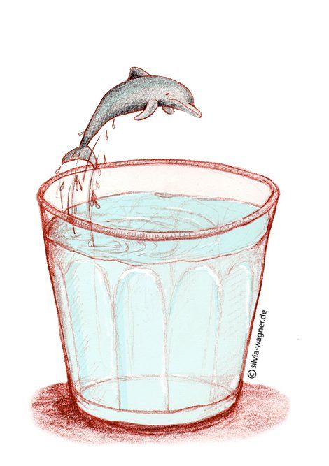 Silvia Wagner, Freiburg, Illustration, Illustratorin, Editorial, Zeichnung, Tier, Delphin, Cartoon,