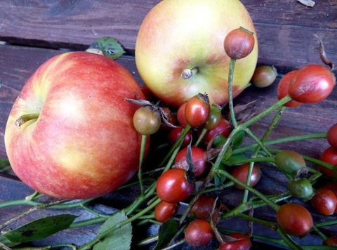 Äpfel, Hagebutten, Herbst, Ernte, Gedicht, Spruch, Bank, Garten, Nachdenken, sinnieren