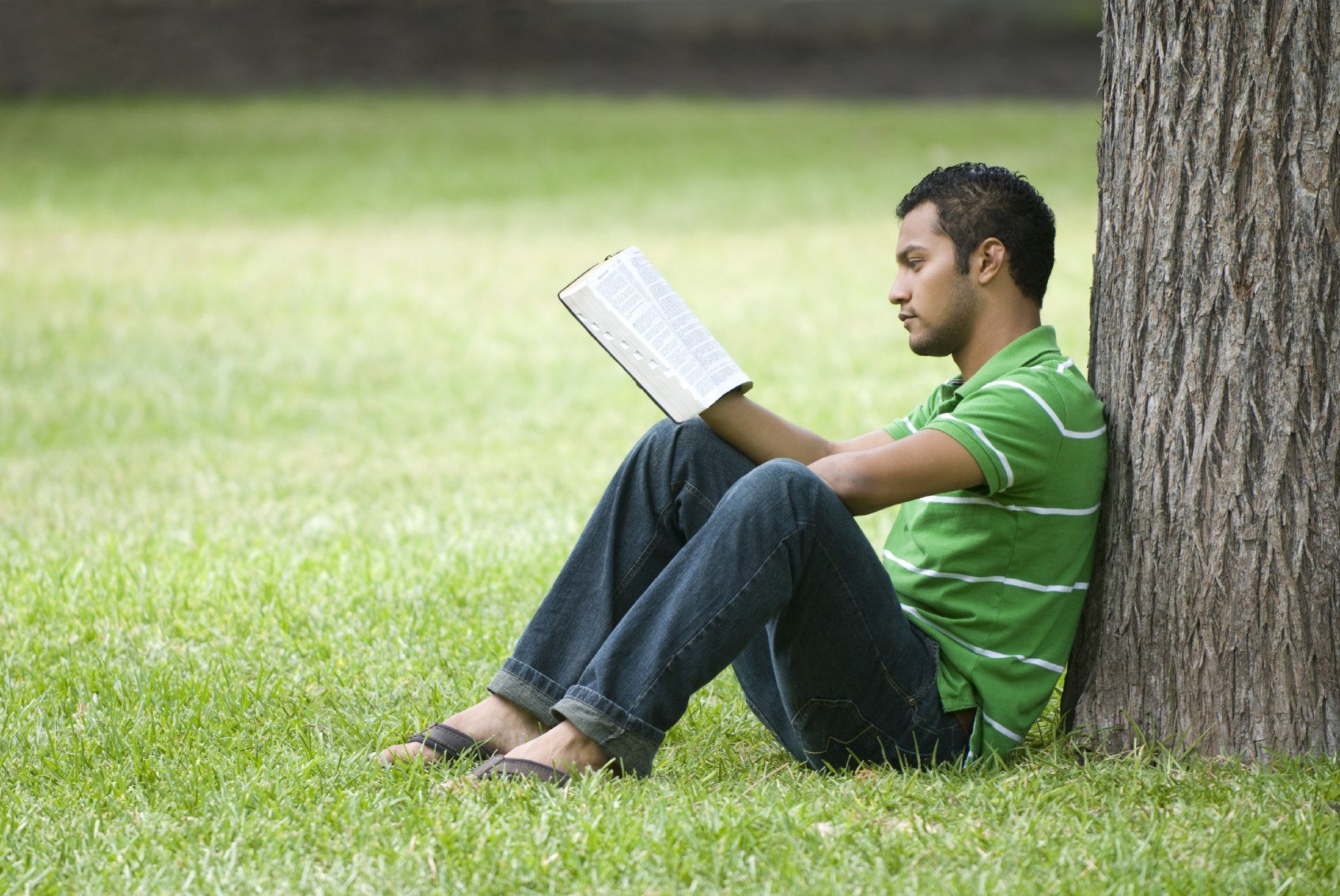 Lifelong Learning.  Young man sitting against a tree, reading a book.