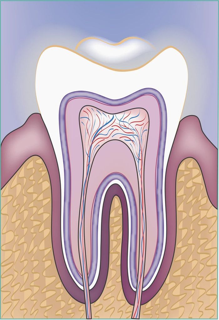 Parodontitis Zahnfleischbehandlung Parodontose