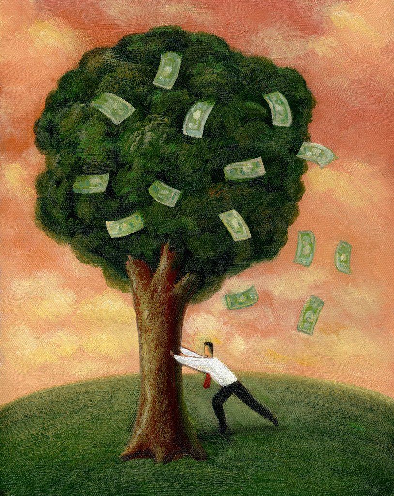 A picture of a money tree