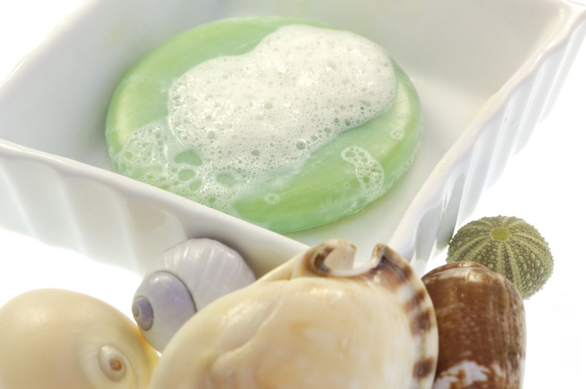Grüne leicht aufgeschäumte Seife in weißer Seifenschale. Davor befinden sich Muscheln