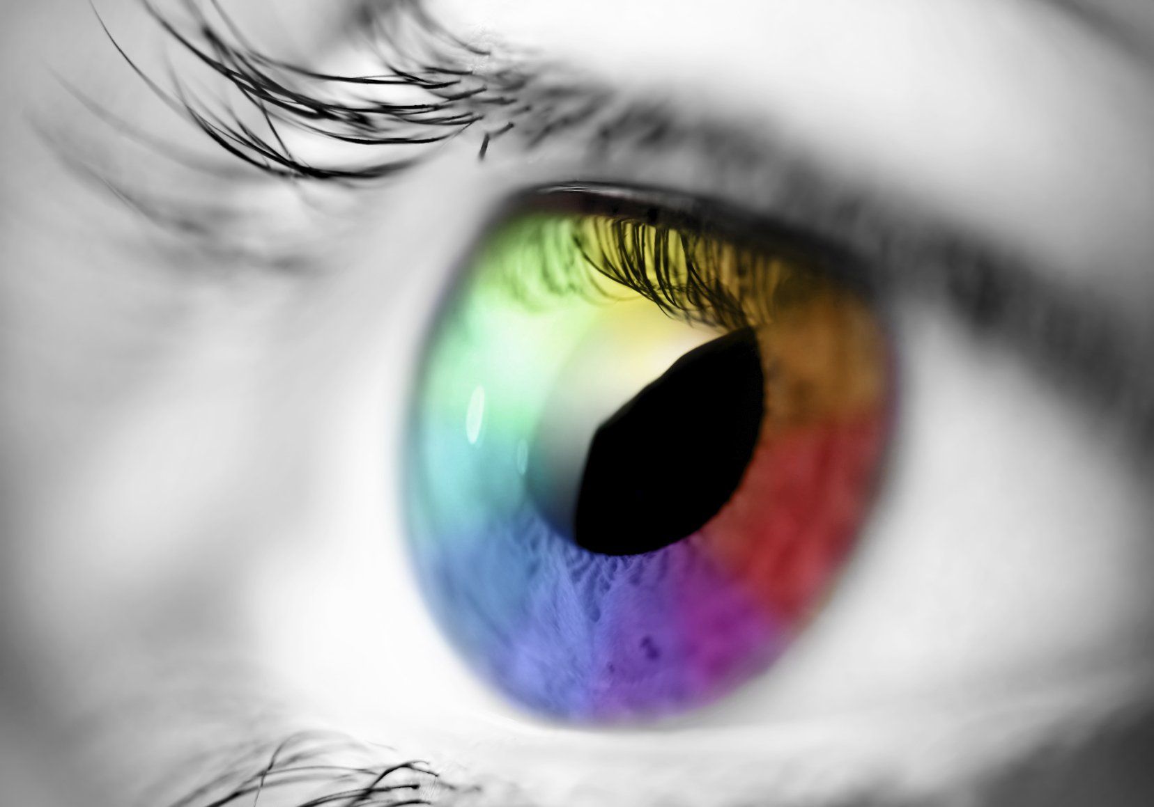 A close up photograph of a human eye. All is black and white except for the iris which is rainbow.