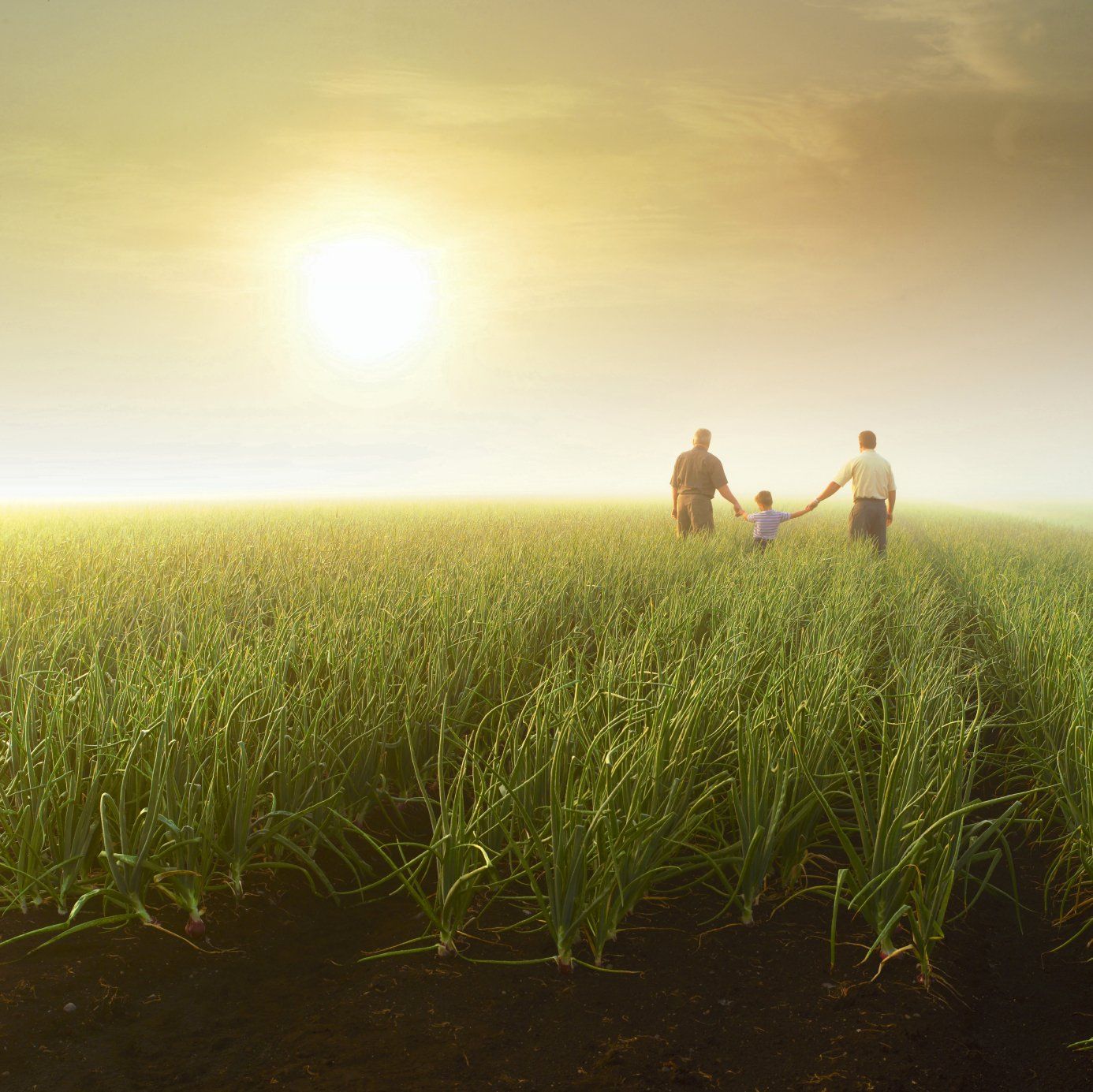 Grandfather, Son and Grandson walking through a field, represents estate planning to provide for future generations