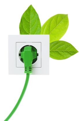Chord Plugged into Outlet with Leaves on the back
