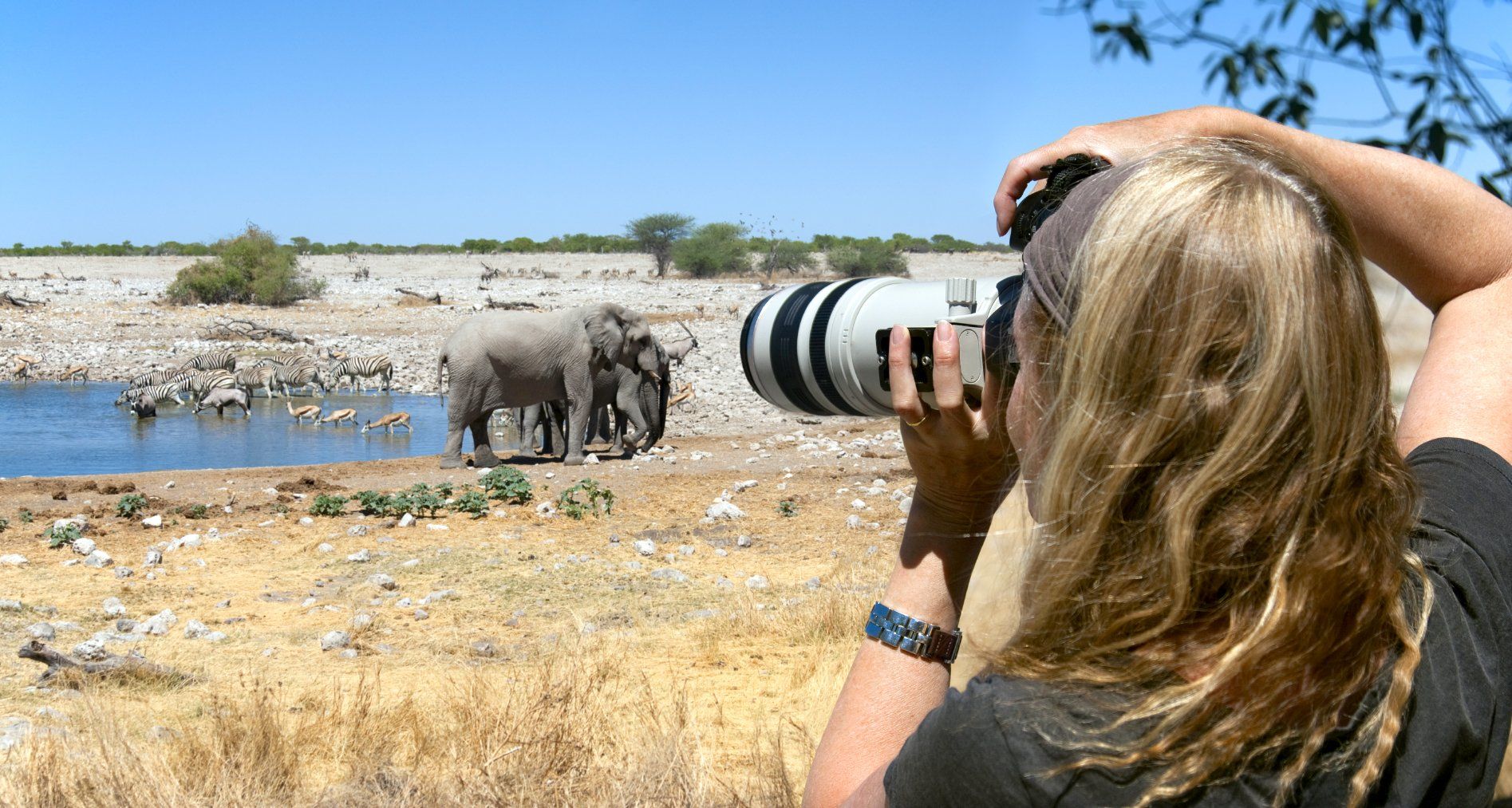 Frau mit Kamera auf Safari