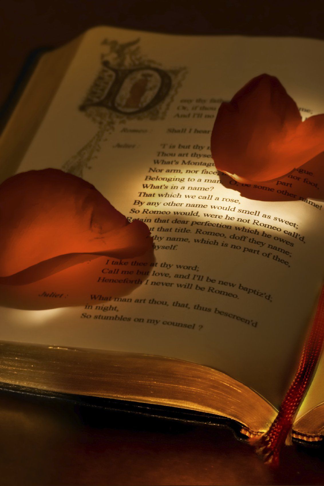Picture of book with red rose petals