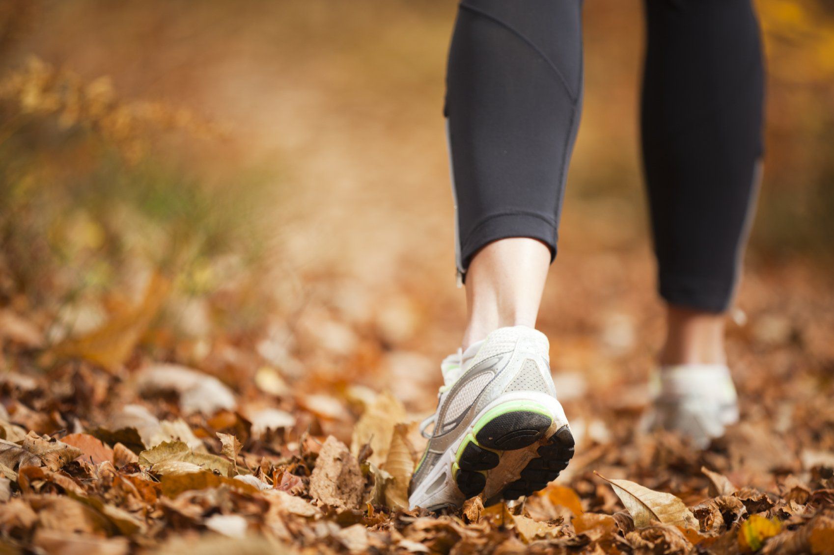 Wald Wiese und mehr - Bewegte Gespräche Walk & Talk - Bonn und Umgebung