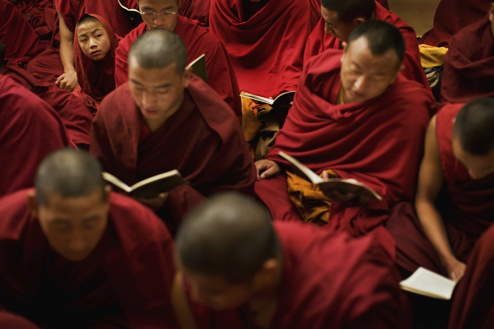 Young monks sitting and reading their prayer books