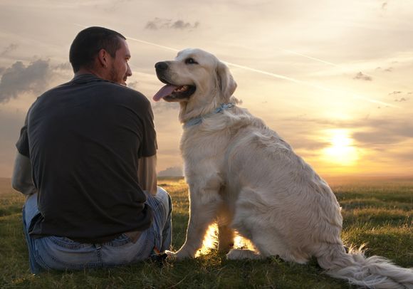 Home Sitting Garde Animaux A Domicile Par Retraites