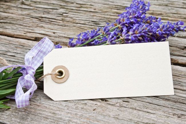 Unsere Natur ist einfach magisch.