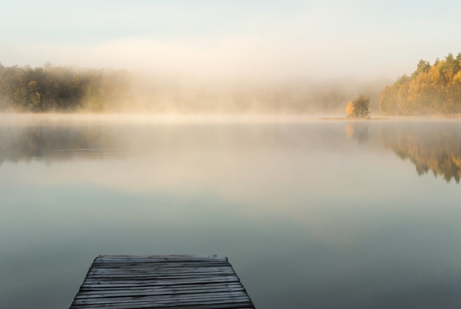 Traumen und Persönlichkeitsstörungen  - Psychotherapie