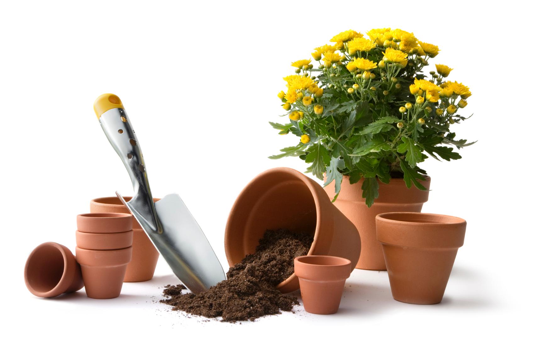 A cluster of clay plant pots (one containing yellow flowers), a spade and some potting soil.