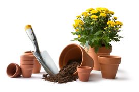 Gardening Focus Articles