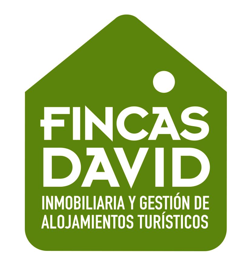 FINCAS DAVID