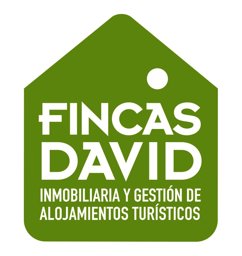 FINCAS DAVID