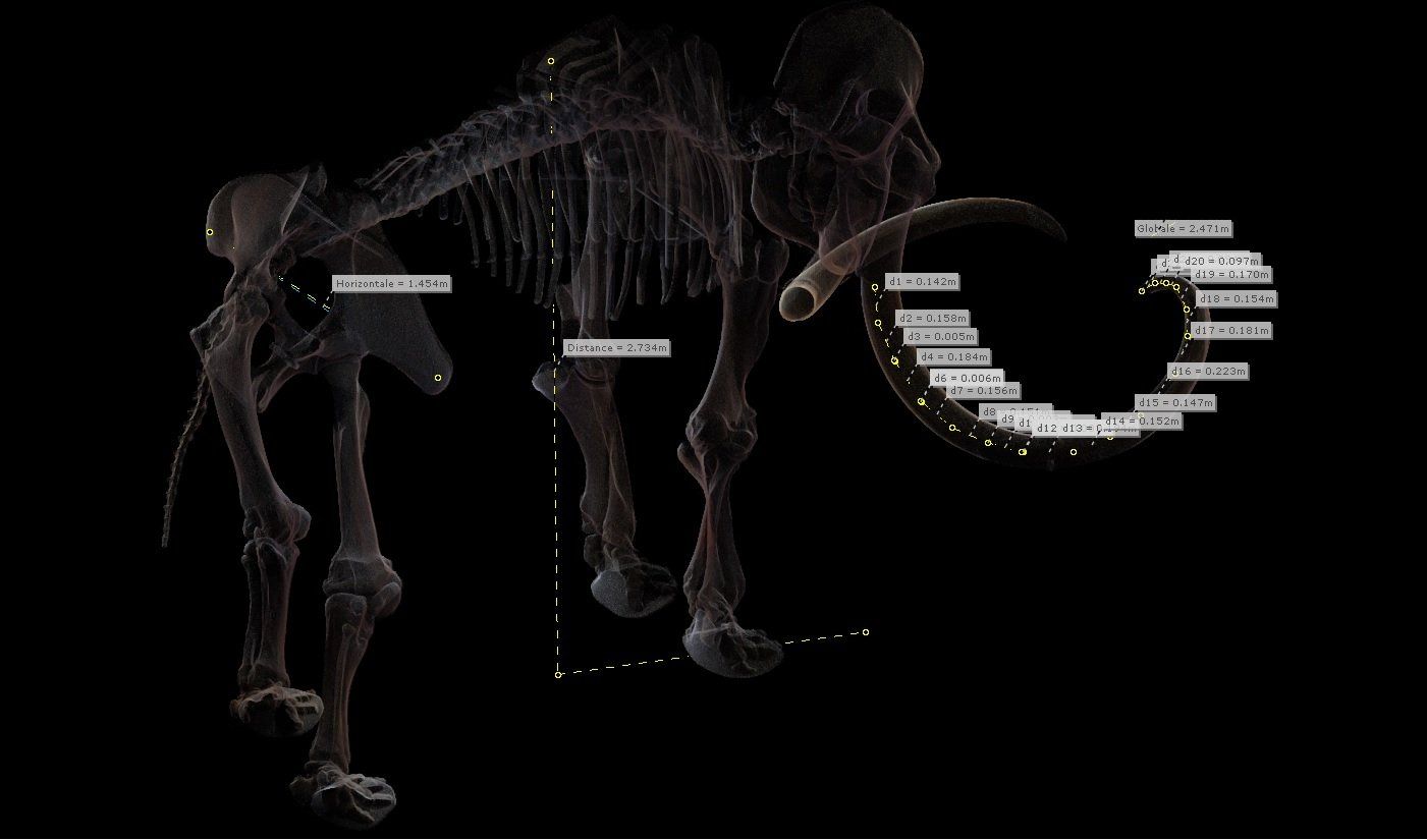 4 - VUE 3D NUAGE DE POINTS Vue 3D Mammouth Laser Scanner