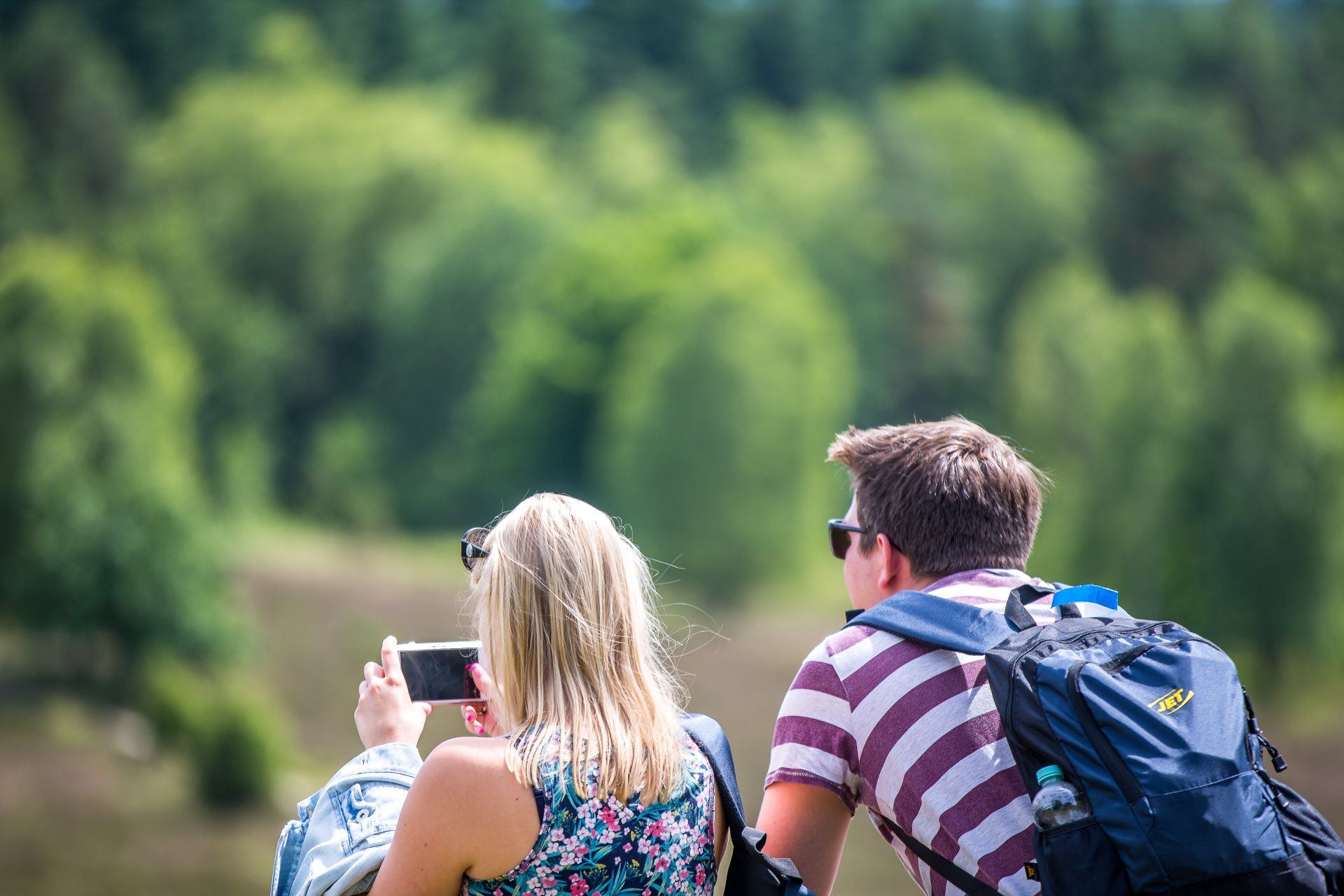 wanderwege, lüneburger heide wandern, heidschnuckenweg, übernachten, wandern