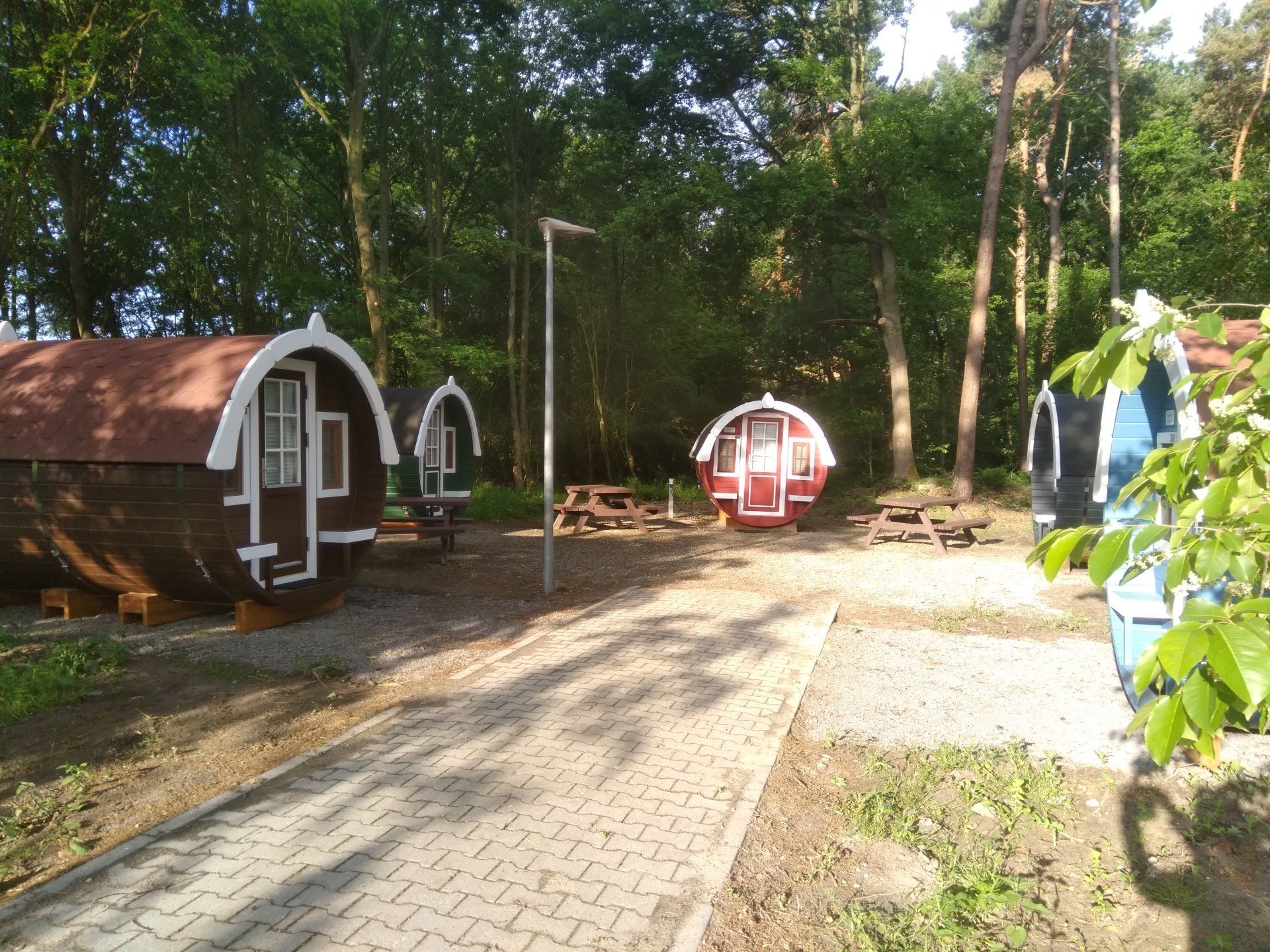 Waldstück Schlaffässer Camping Hümmlinger Land