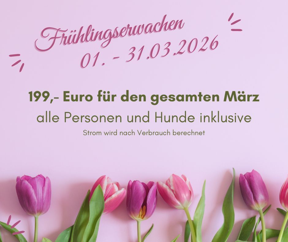 Frühlingserwachen 2026 Angebot