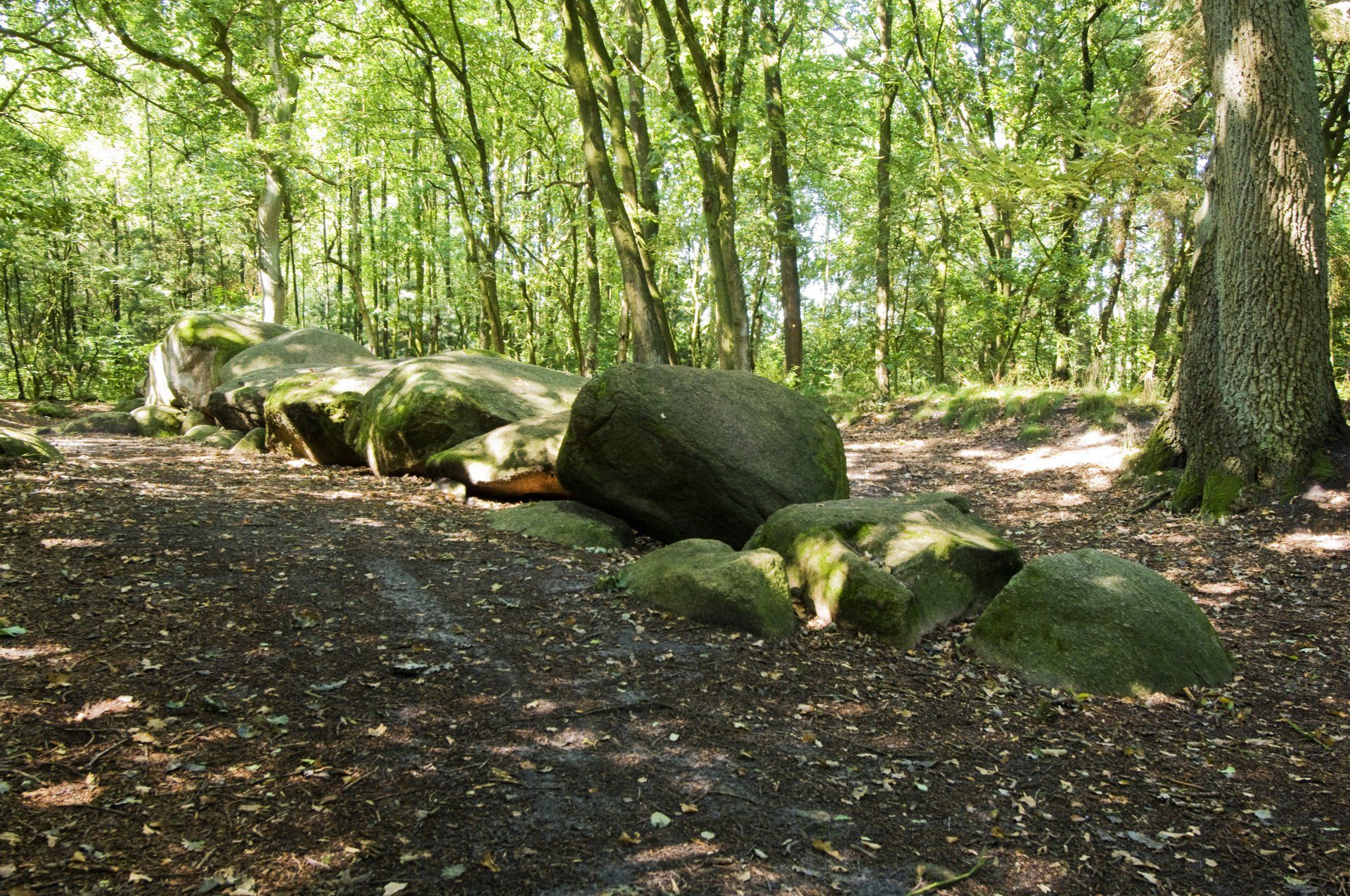 Hünensteine Werlte