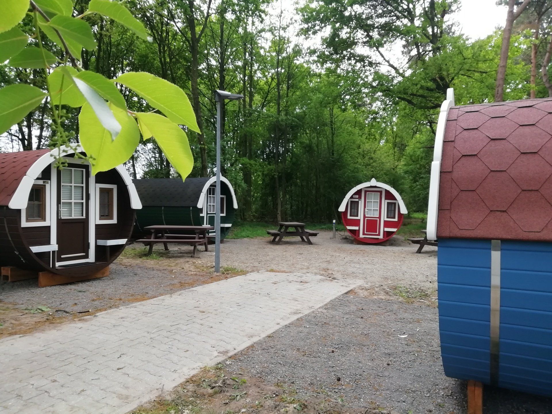 Wald mit Schlaffässern Camping Hümmlinger Land