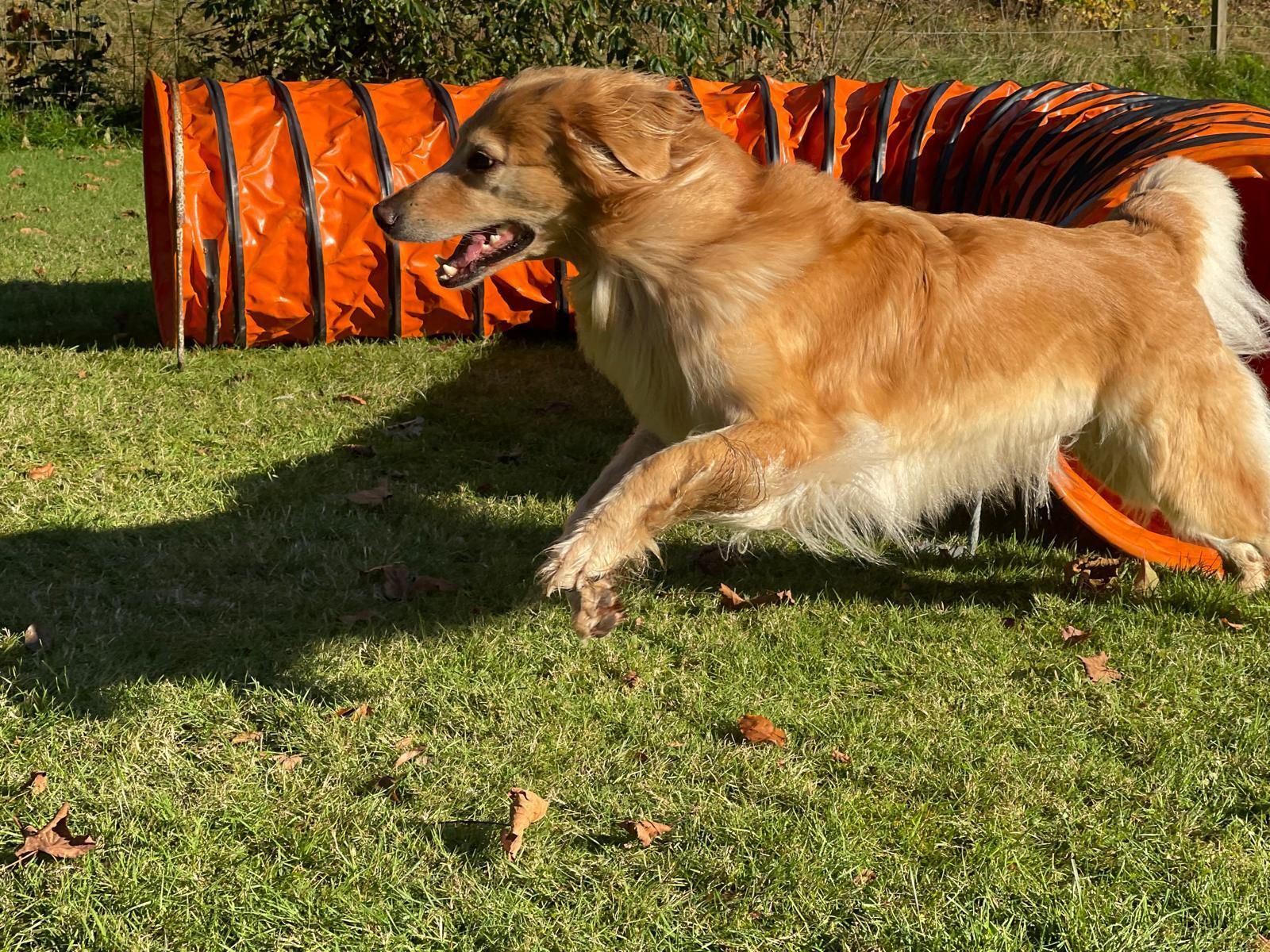 Mit Spaß und Freude starten wir alle in das neue Jahr 2025!