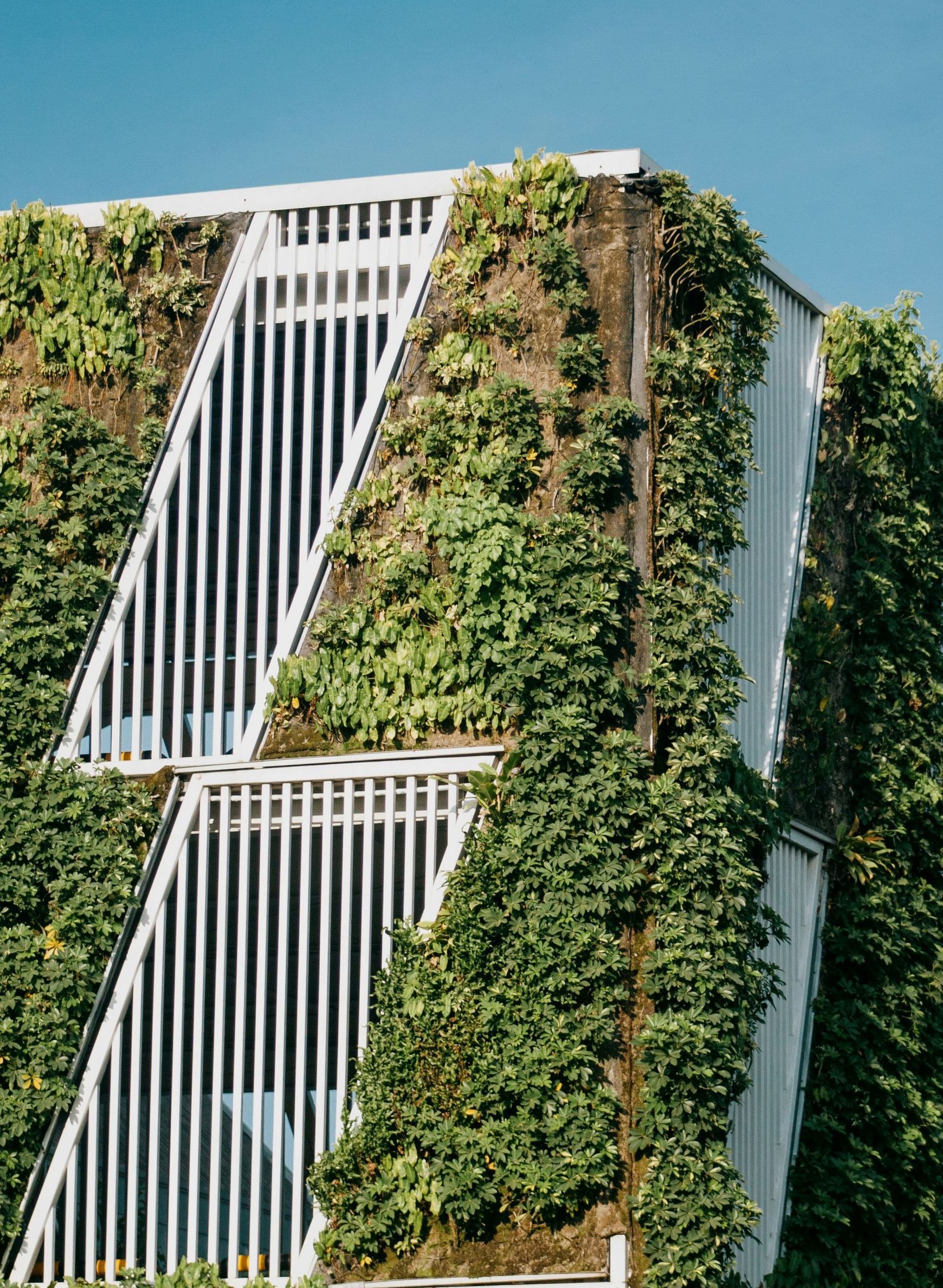 Nicole Horlacher, Geschäftsführende Gesellschafterin Horlacher HR