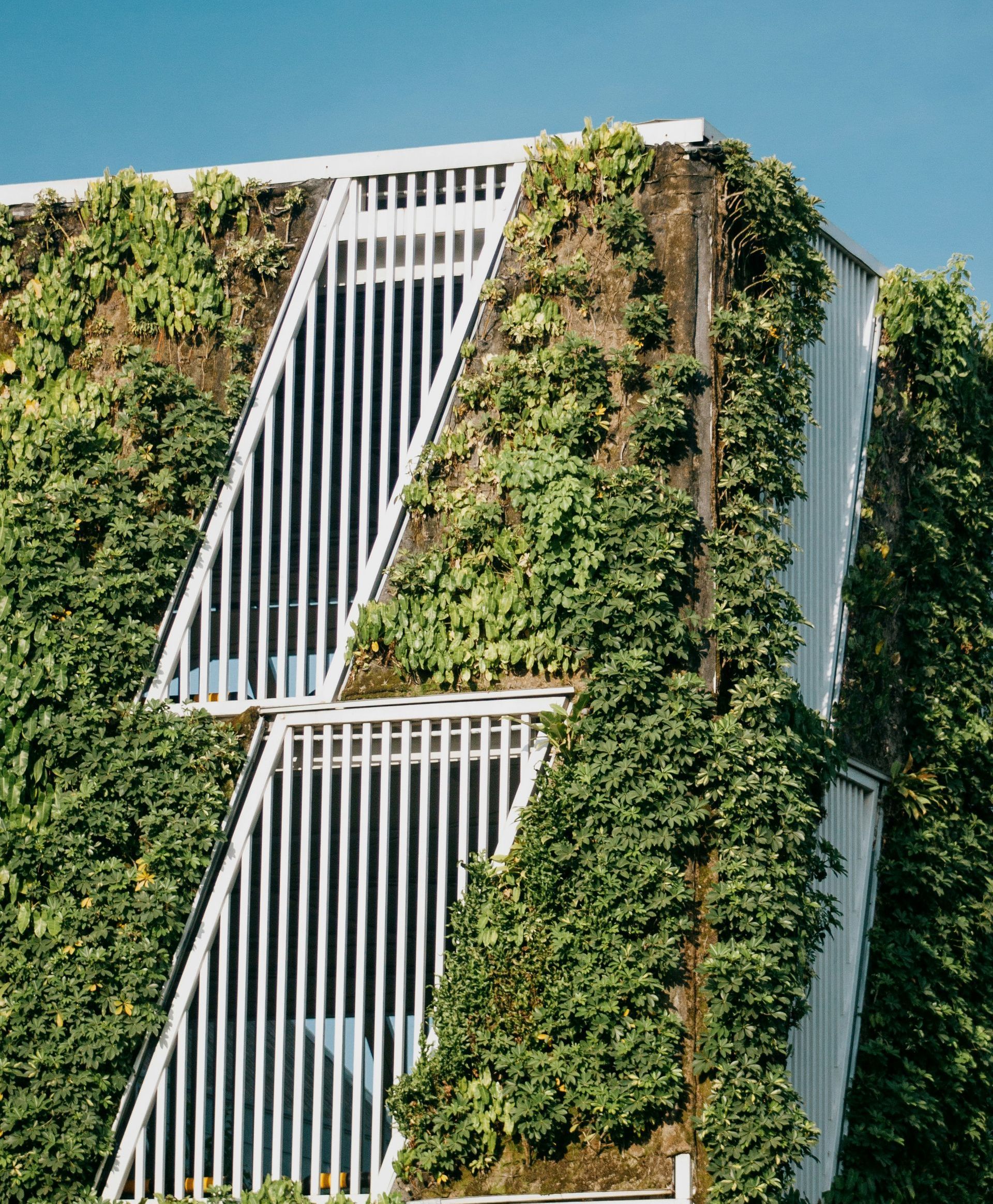 Nicole Horlacher, Geschäftsführende Gesellschafterin Horlacher HR