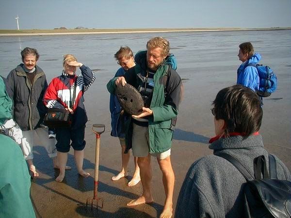 Wie kommt der Torfklumpen ins Watt?