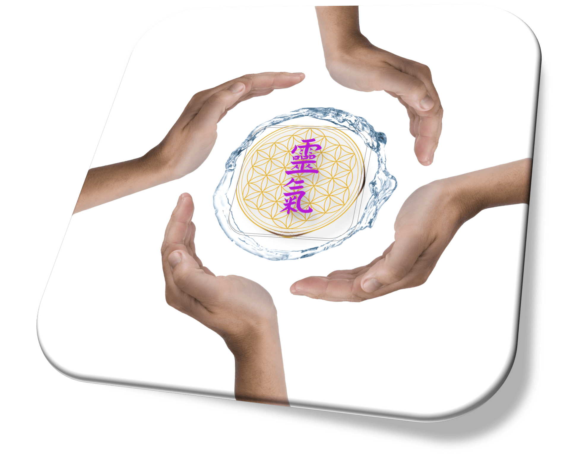 Diploma Reiki Ryoho FERP Madrid