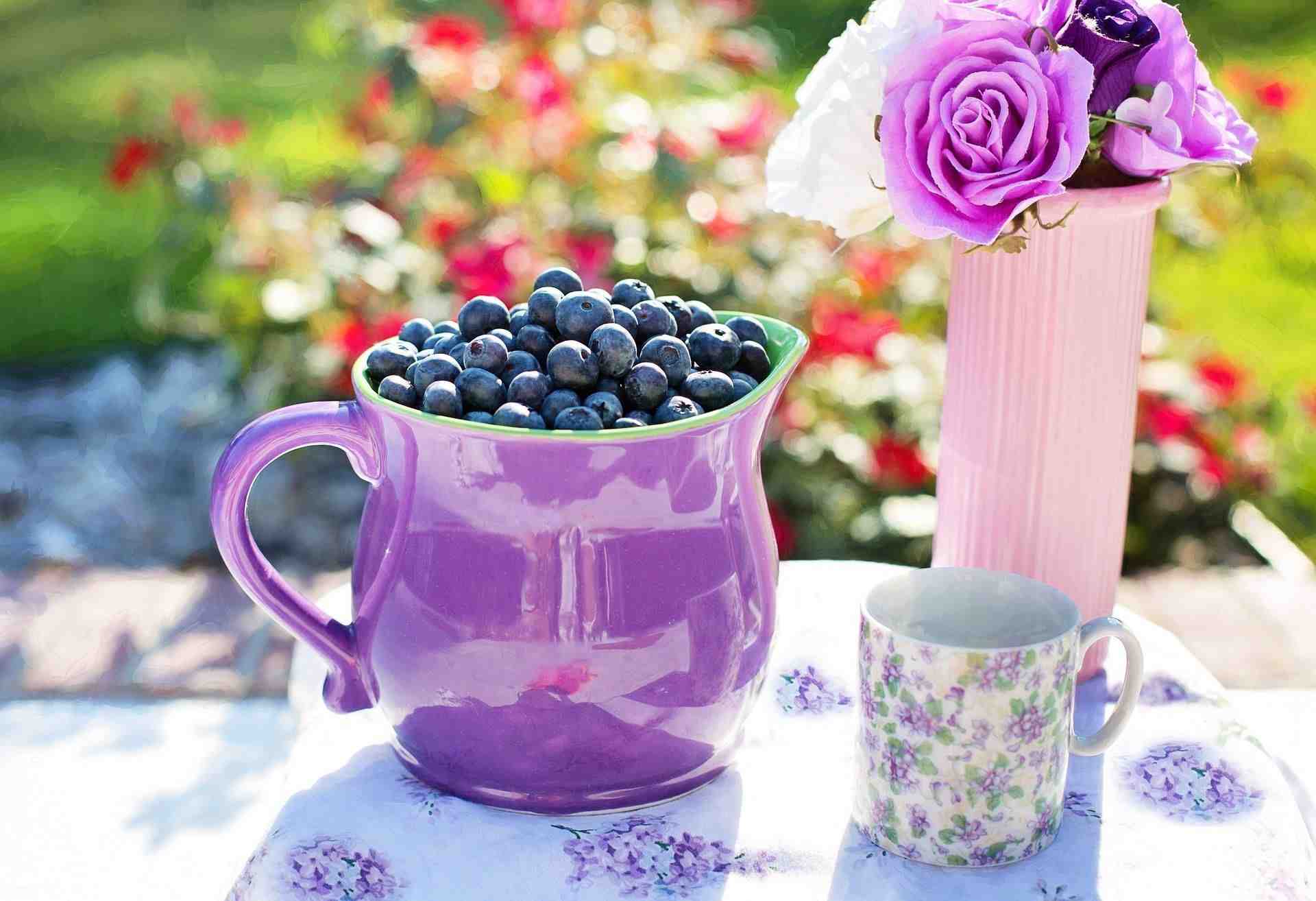 Praxis Steinbach Essen fuer den Geist Blaubeeren