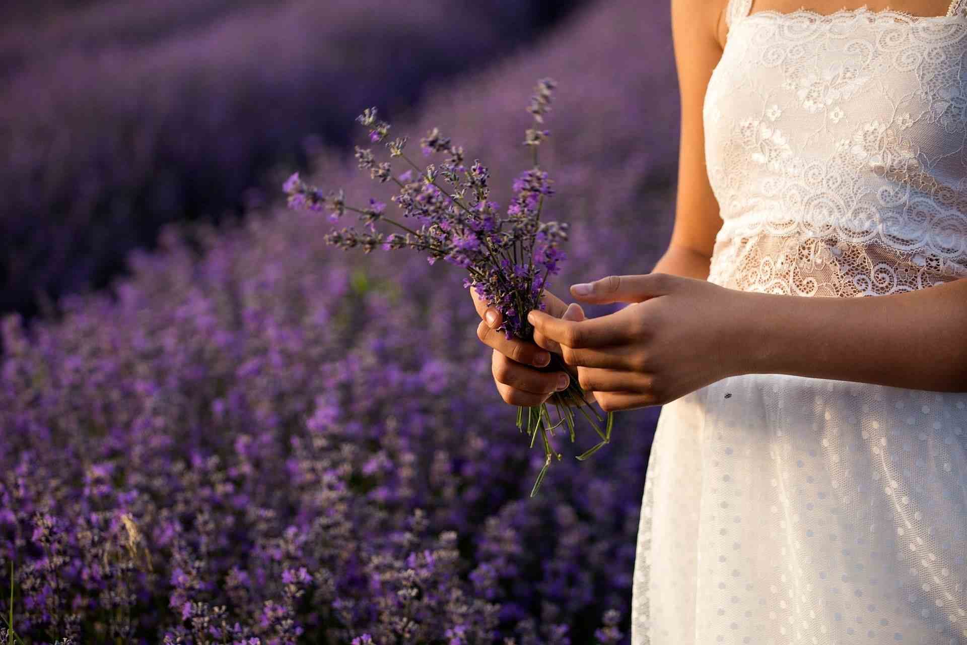 Schwangere Frau mit Lavendel in der Hand Praxis Steinbach