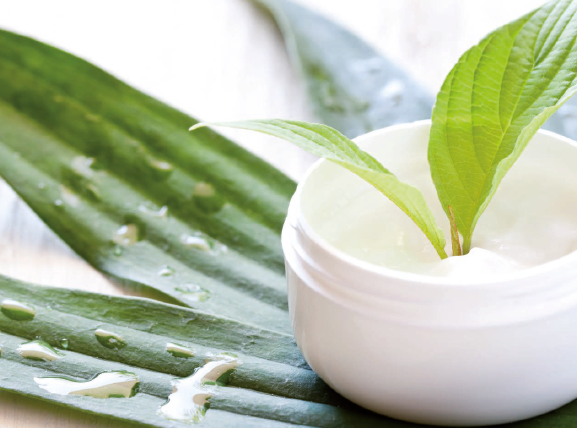 Q10 Hyaluron Anti Aging