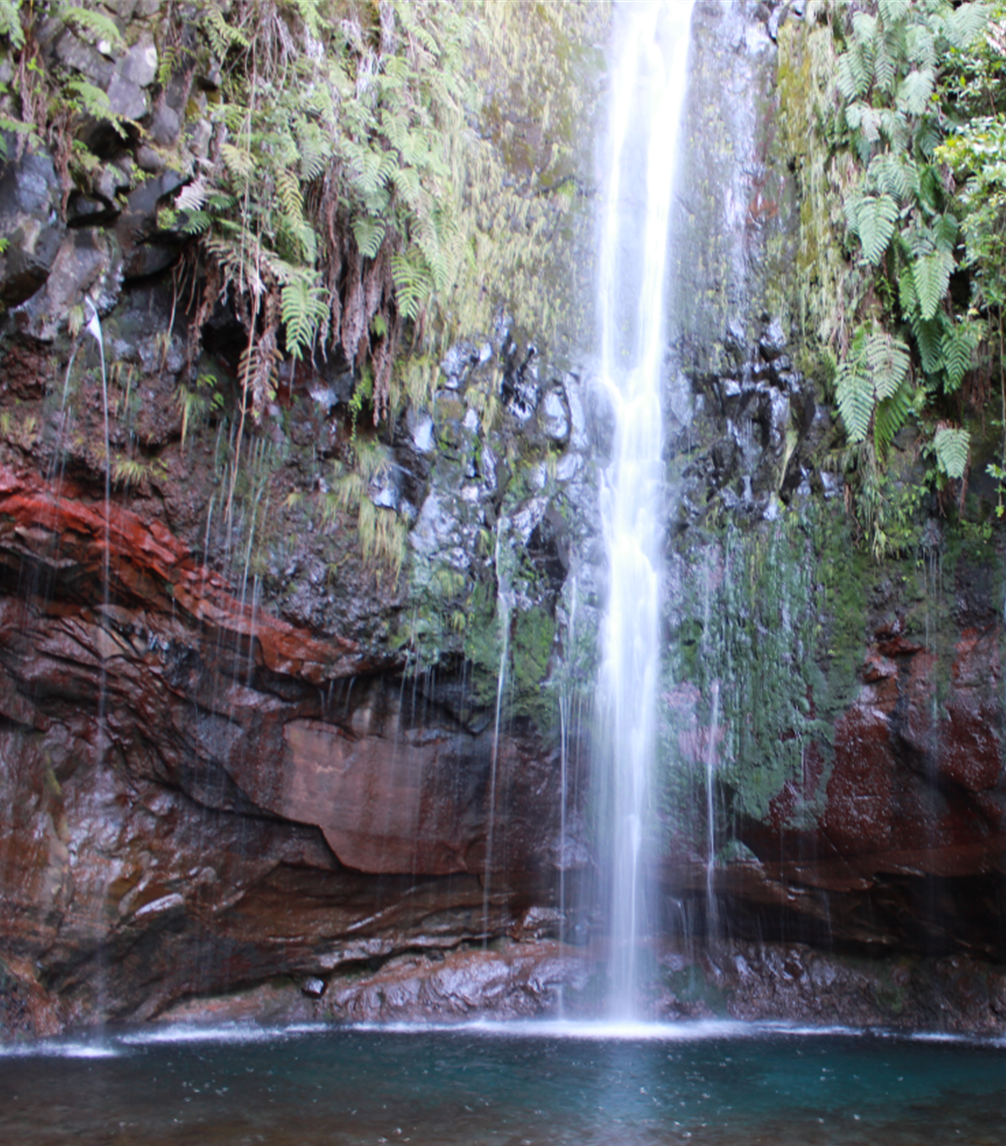kühlende Algenmaske Feuchtigkeit Algenmaske Feuchtigkeitsbehandlung