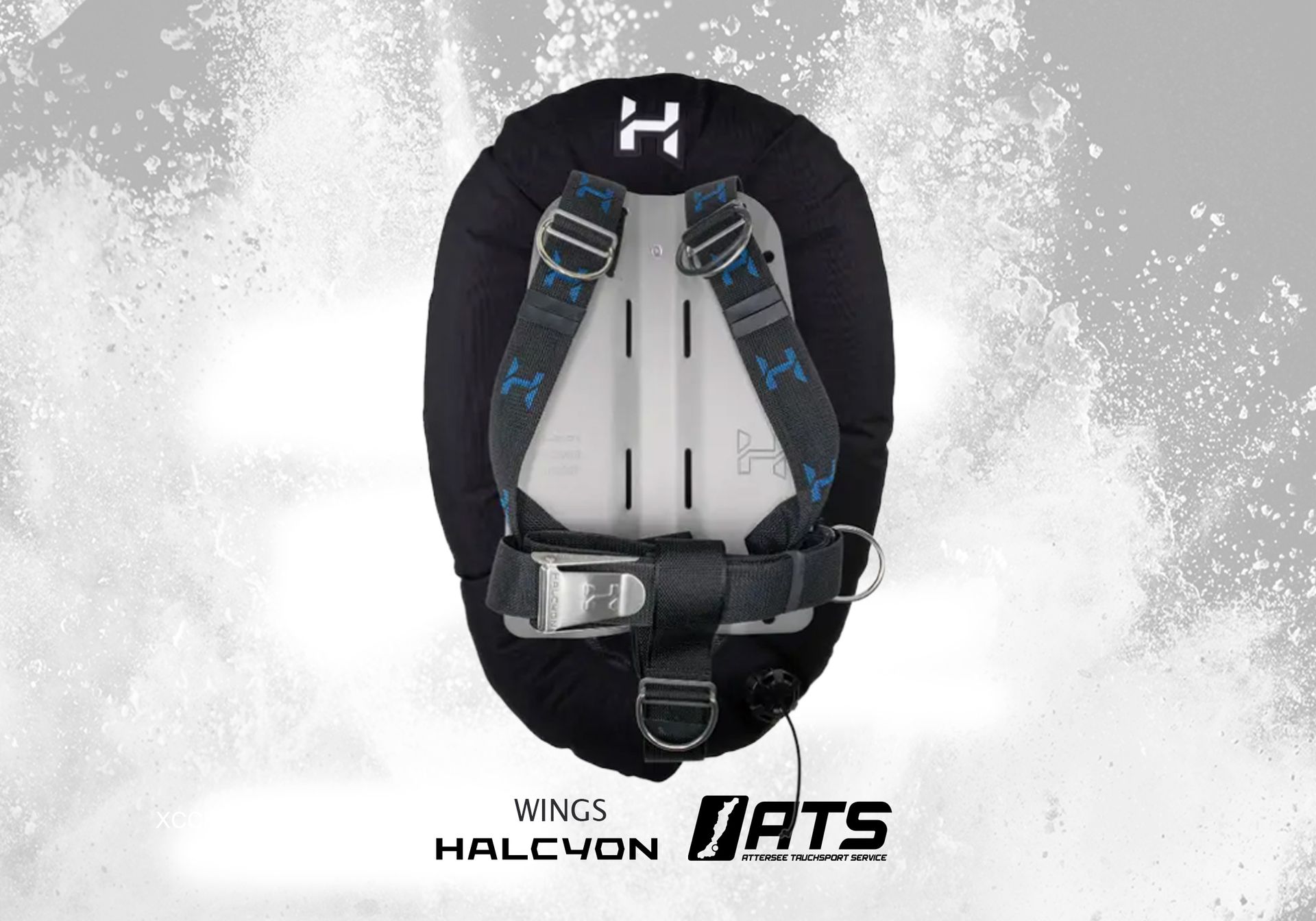 Halcyon wings testcenter