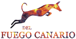 del Fuego Canario