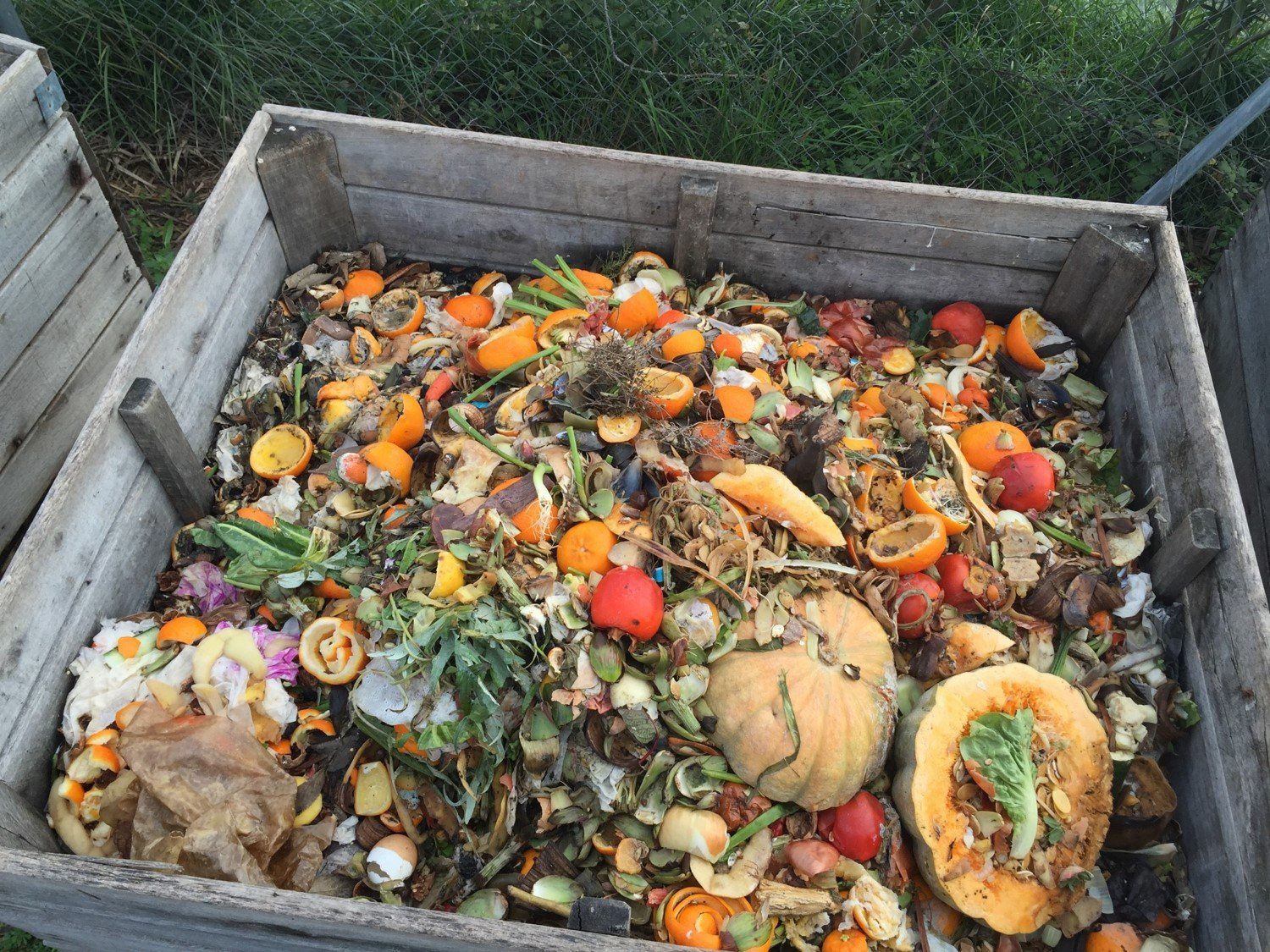 Fracción orgánica recogida por RECISA