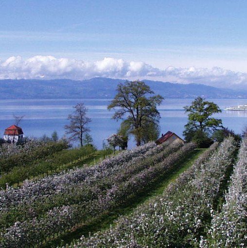 Baumanns Ferienhof am See