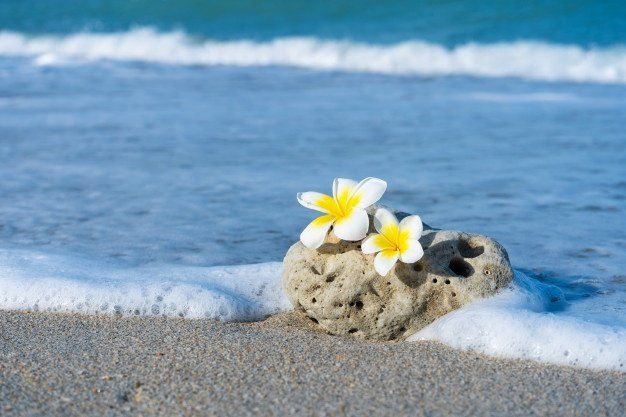 Qué destino dar a las cenizas