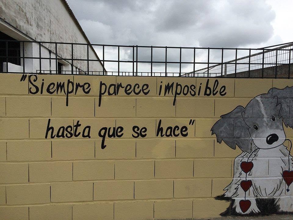 fotos aprenda ecija sevilla