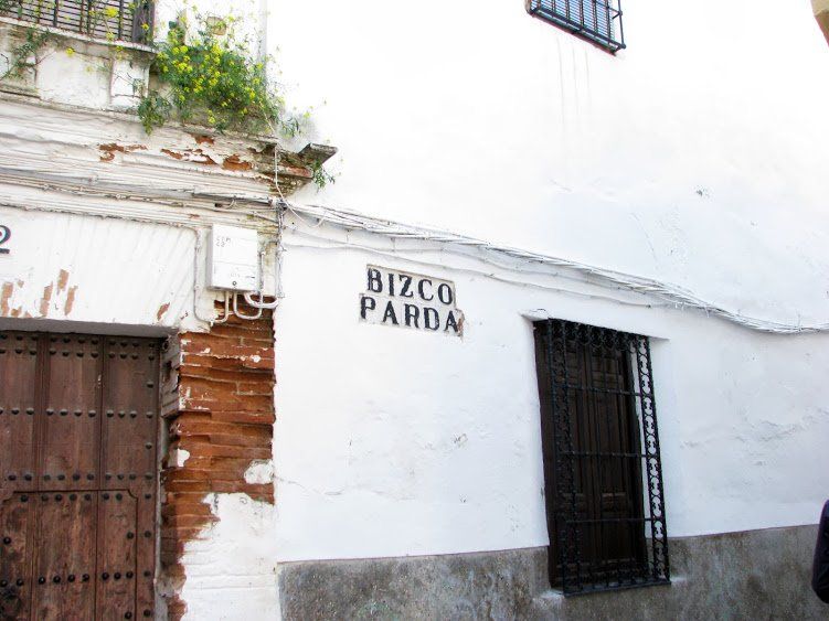 artistas ecijanos populares